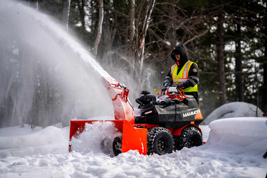 Ariens Mammoth (951001)